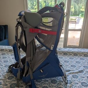Blue and Gray Child Carrier Backpack